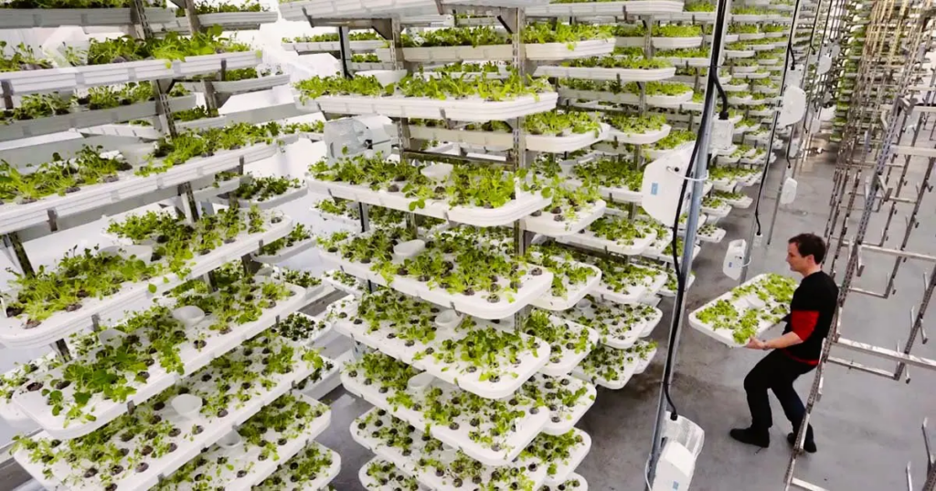 Urban Farming and Vertical Gardens: Green Solutions for Food Production in Cities